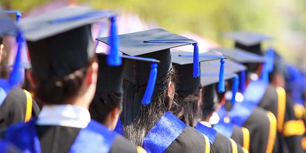 Universities / Hostels  / Institutions